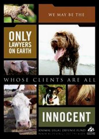 Animal Legal Defence Fund Poster: © ADLF