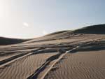 Sand dunes with many tire tracks