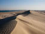 View from a sand dune