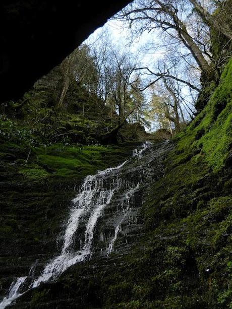 Welsh Staycation in Radnorshire (King Harold, waterfalls & a 5,000 yr old tree)