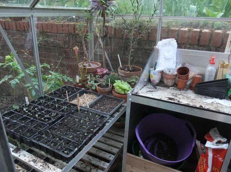 The Greenhouse Year – March 2012