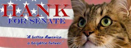 Hank's U.S. Senate Campaign Banner: © 2012 Hank For Senate Committee