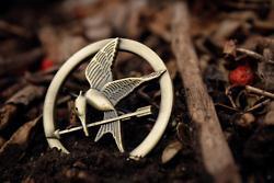 Everything Hunger Games!