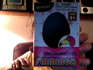 Magic Growing Pet Flamingo (Kids Toy) - My Thoughts