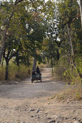 The Myth of the Tiger (Corbett National Park)