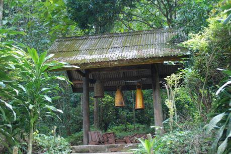 Jungle Trekking the Hills of Chiang Mai