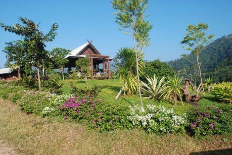 Jungle Trekking the Hills of Chiang Mai