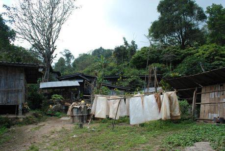 Jungle Trekking the Hills of Chiang Mai