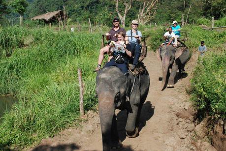 Jungle Trekking the Hills of Chiang Mai