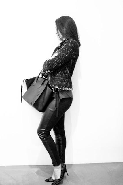 Black Beauty Black Beauty