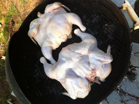 How to grill awesome chickens! (with photos!)