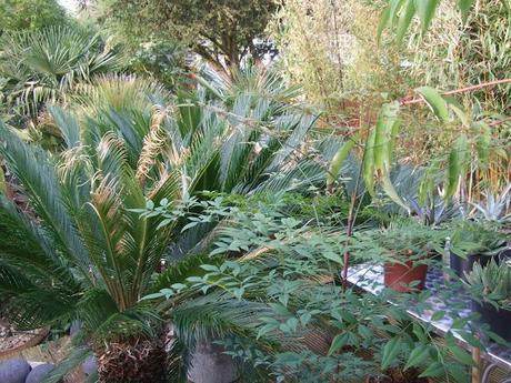 Fine Dissaray 2 Fine Dissaray 2