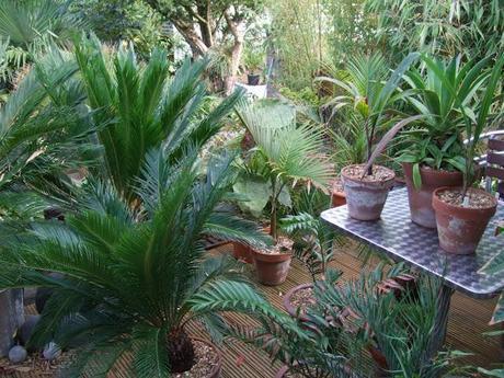 Fine Dissaray 2 Fine Dissaray 2