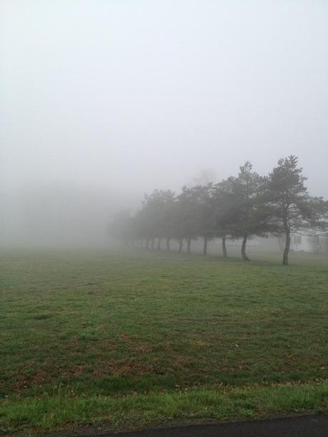 Entering the Fog