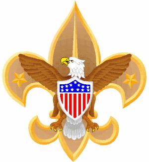 boy-scouts-merit-badge