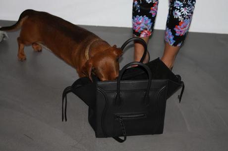 Hello Snoopy Hello Snoopy