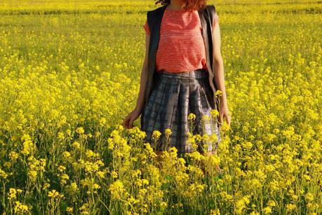 In Fields of Yellow Flowers