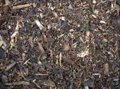 Mulch Away Keep Drought