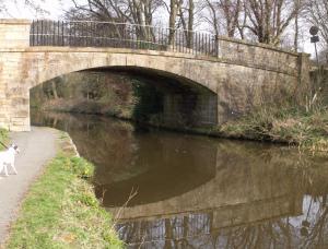 Canals and reflections