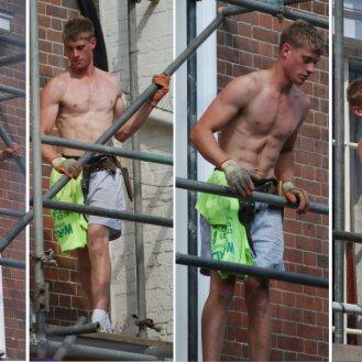 The Scaffolder