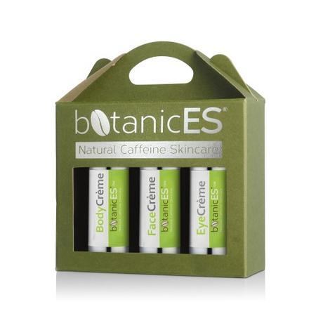 2017 ESSENTIALS & TRENDS 2017 ESSENTIALS & TRENDS