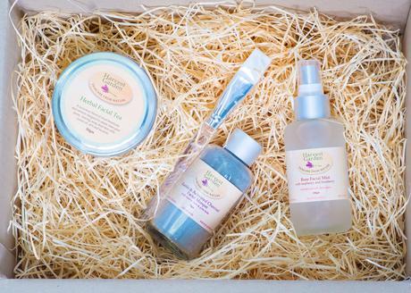 2017 ESSENTIALS & TRENDS 2017 ESSENTIALS & TRENDS