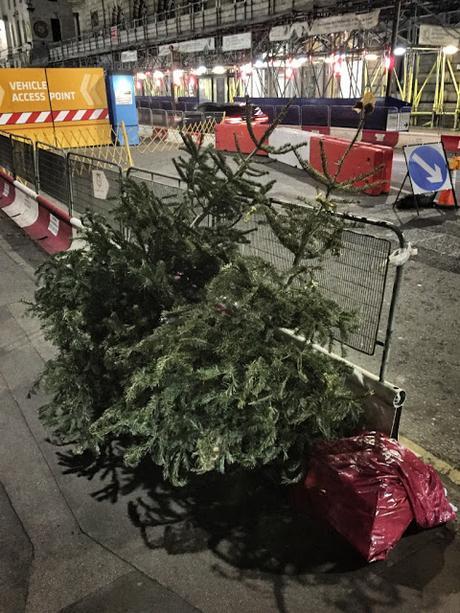 Hello 2017! Goodbye Christmas Trees! (So Soon?!)