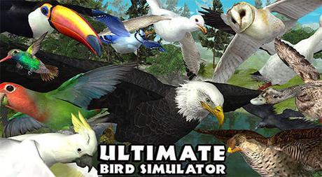 Image result for Ultimate Bird Simulator APK