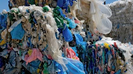 plastic bag law goes into effect