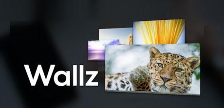 Wallz Pro: Wallpaper APP v1.3.1 APK