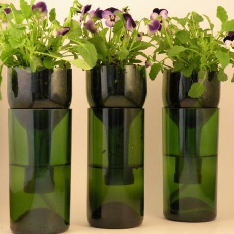 Grow Planter Made from a Champagne Bottle