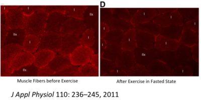 Fasting and Exercise