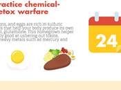 Detox Plan