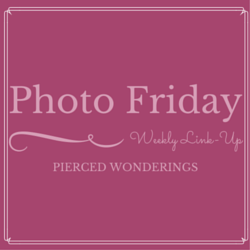 Linkup Photo-Friday