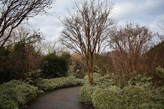 Anglesey Abbey - a wintery walk