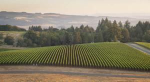 BKWine Magazine: Domaine Drouhin Oregon Tasting Notes