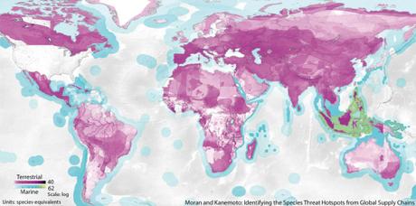 Maps Reveal How Global Consumption Hurts Wildlife