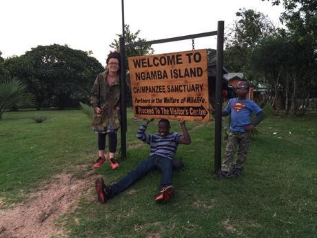 family day out ngamba island chimp sanctuary