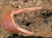 Common Causes Sewer Line Blockage