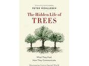 BOOK REVIEW: Hidden Life Trees Peter Wohlleben