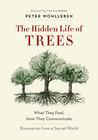 The Hidden Life of Trees: What They Feel, How They Communicate—Discoveries from A Secret World