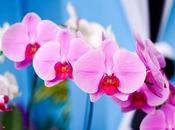 Best Things Chicago This Spring