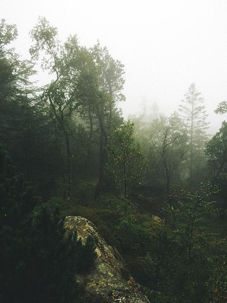 Traveling Europe // Mount Fløyen