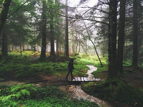 Traveling Europe // Mount Fløyen