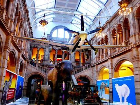 Attraction: Kelvingrove Art Gallery and Museum