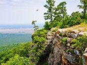 Springs, Arkansas CouchSurfer’s Slant Immersion