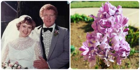 35th Wedding anniversary and a lilac bloomed!