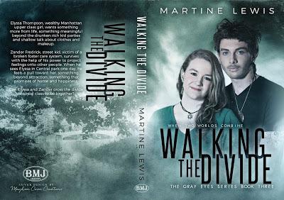 Walking The Divide by Martine Lewis @starange13 @authormartine