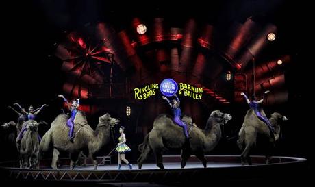 Ringling Brothers Circus “The Greatest Show On Earth” Closing