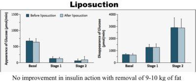 Insulin and Fatty Liver Disease